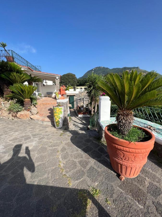 Forio di IschiaBlu Panorama住宿加早餐旅馆 外观 照片