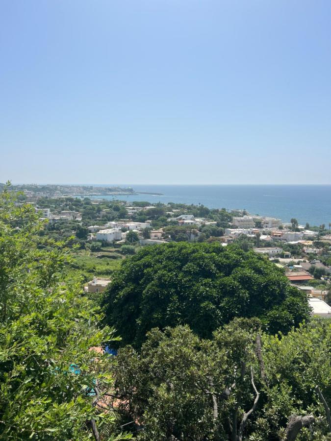 Forio di IschiaBlu Panorama住宿加早餐旅馆 外观 照片