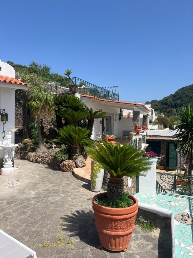 Forio di IschiaBlu Panorama住宿加早餐旅馆 外观 照片