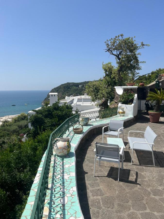 Forio di IschiaBlu Panorama住宿加早餐旅馆 外观 照片